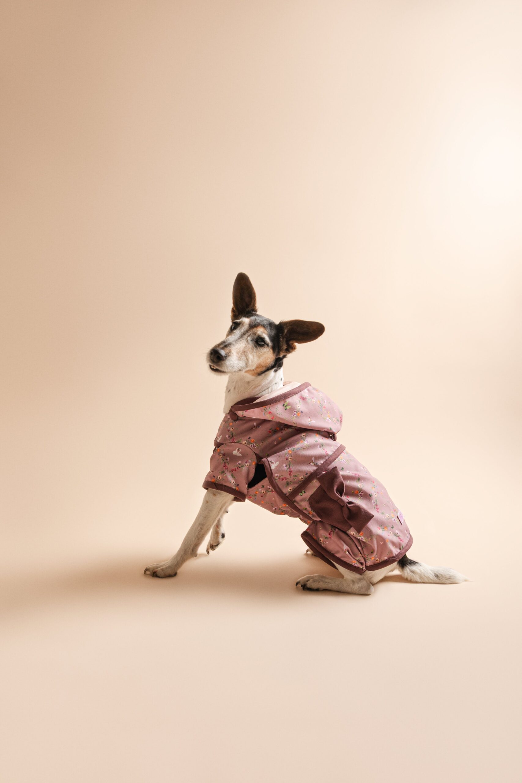 JUNE BUGZZ SS Kollekció